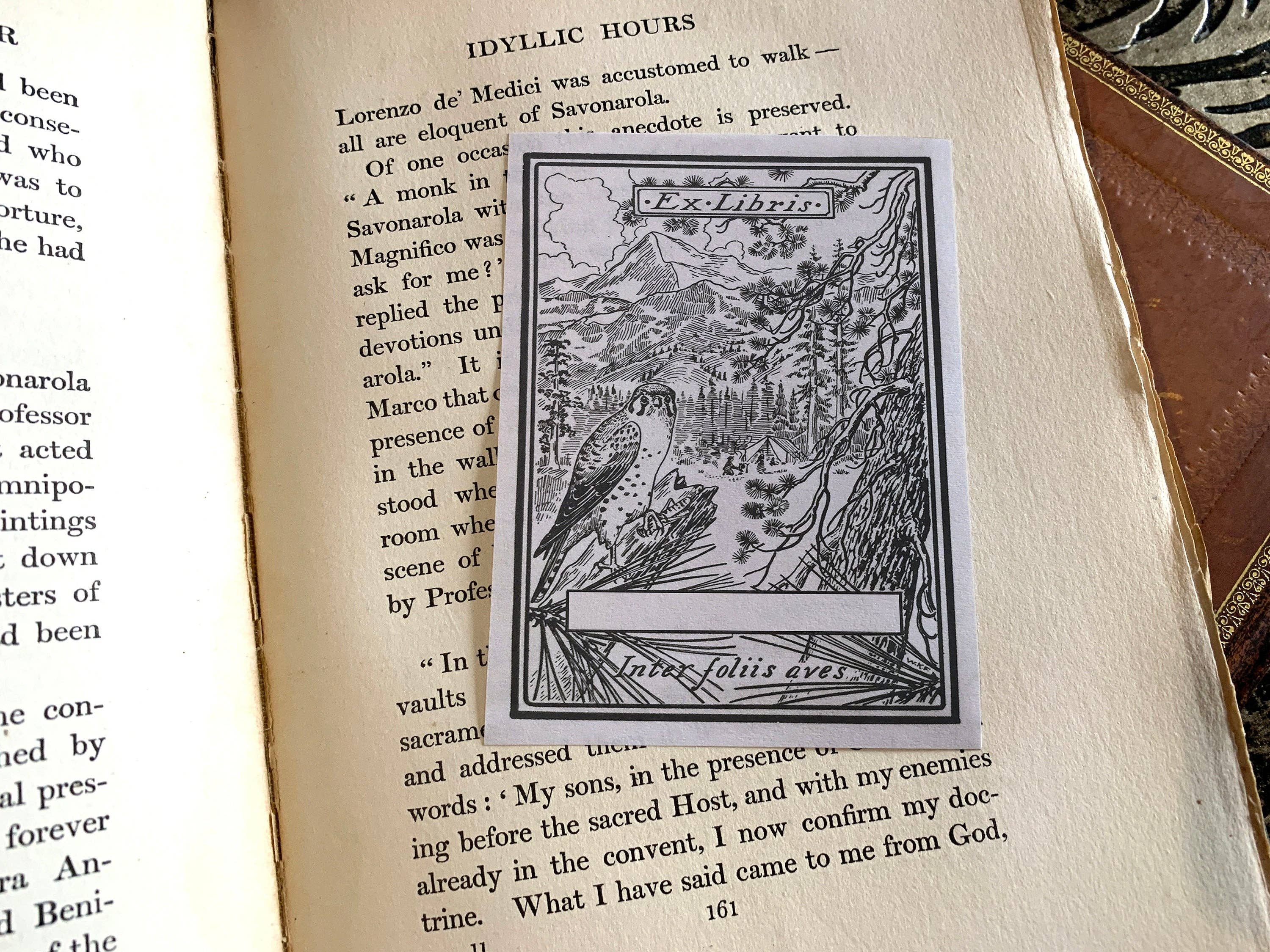 Ebon et Noir LLC – Engroshandel Bogplade – Regal Hawk, personlige, Ex-Libris bogplader, udformet på traditionelt gummieret papir, 3in x 4in, sæt med 302