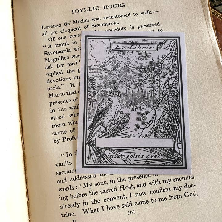 Ebon et Noir LLC – Engroshandel Bogplade – Regal Hawk, personlige, Ex-Libris bogplader, udformet på traditionelt gummieret papir, 3in x 4in, sæt med 302