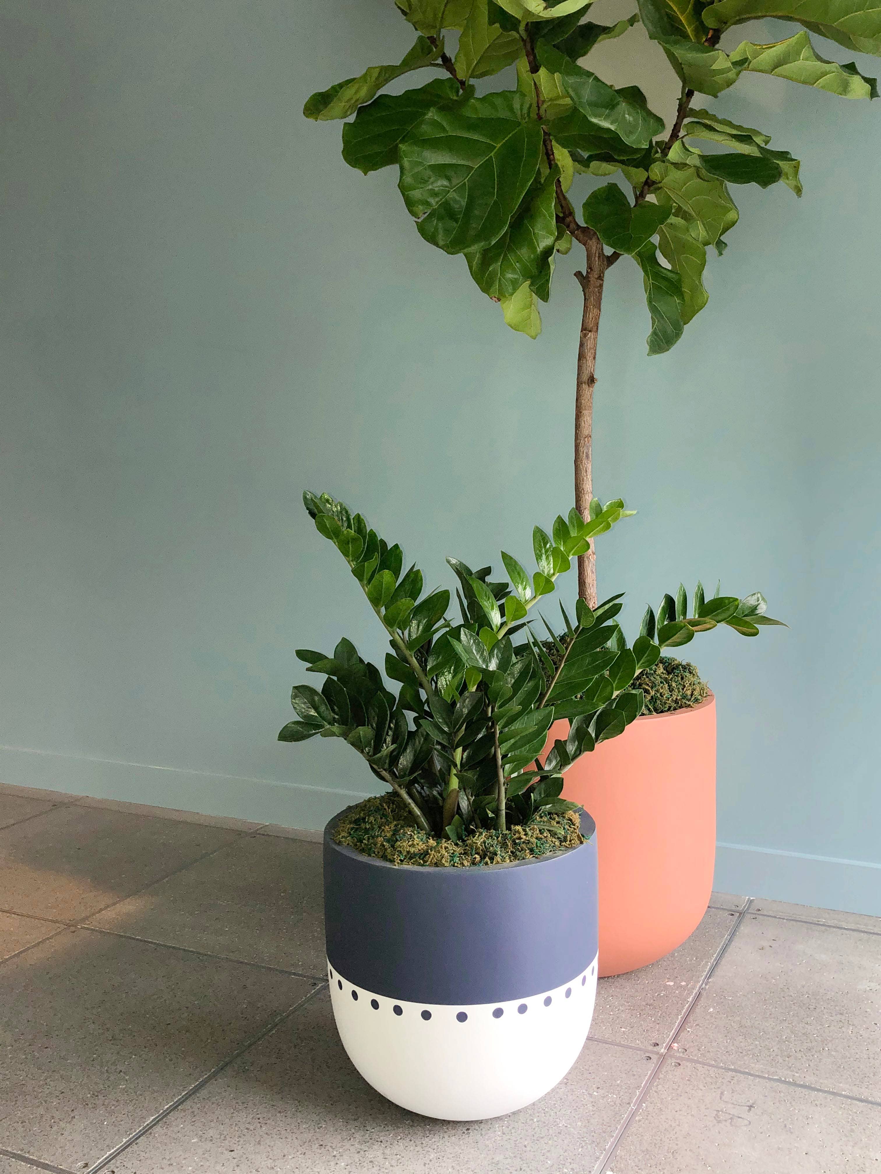 Common House Studio - Vente Pot - POT BOHO | JARDINIÈRE11