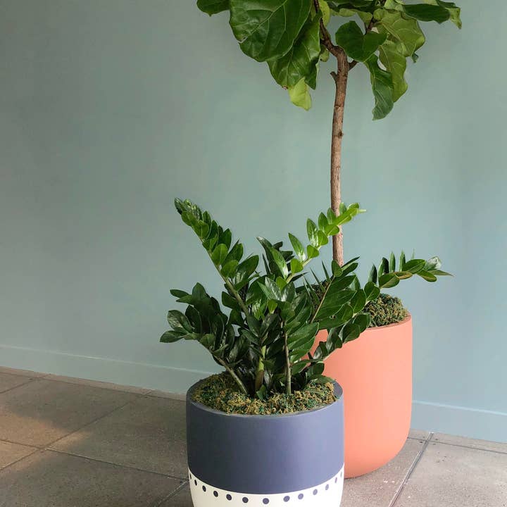 Common House Studio - Vente Pot - POT BOHO | JARDINIÈRE11