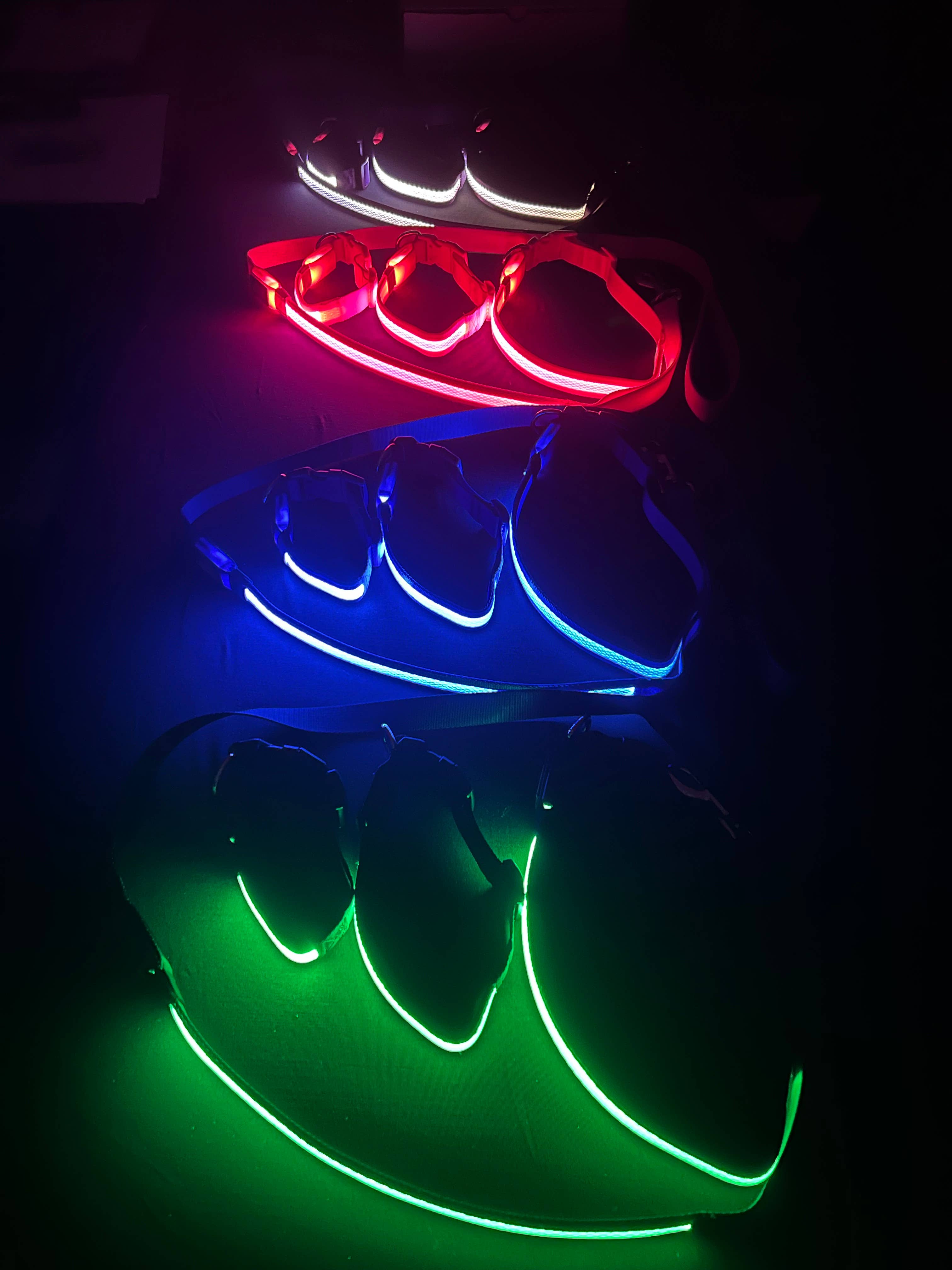 K-9ightLights L.L.C. - Wholesale Pet Leash - Dog - K-9ightLights LLC Pet Supplies Best Light Up LED Dog Leash3