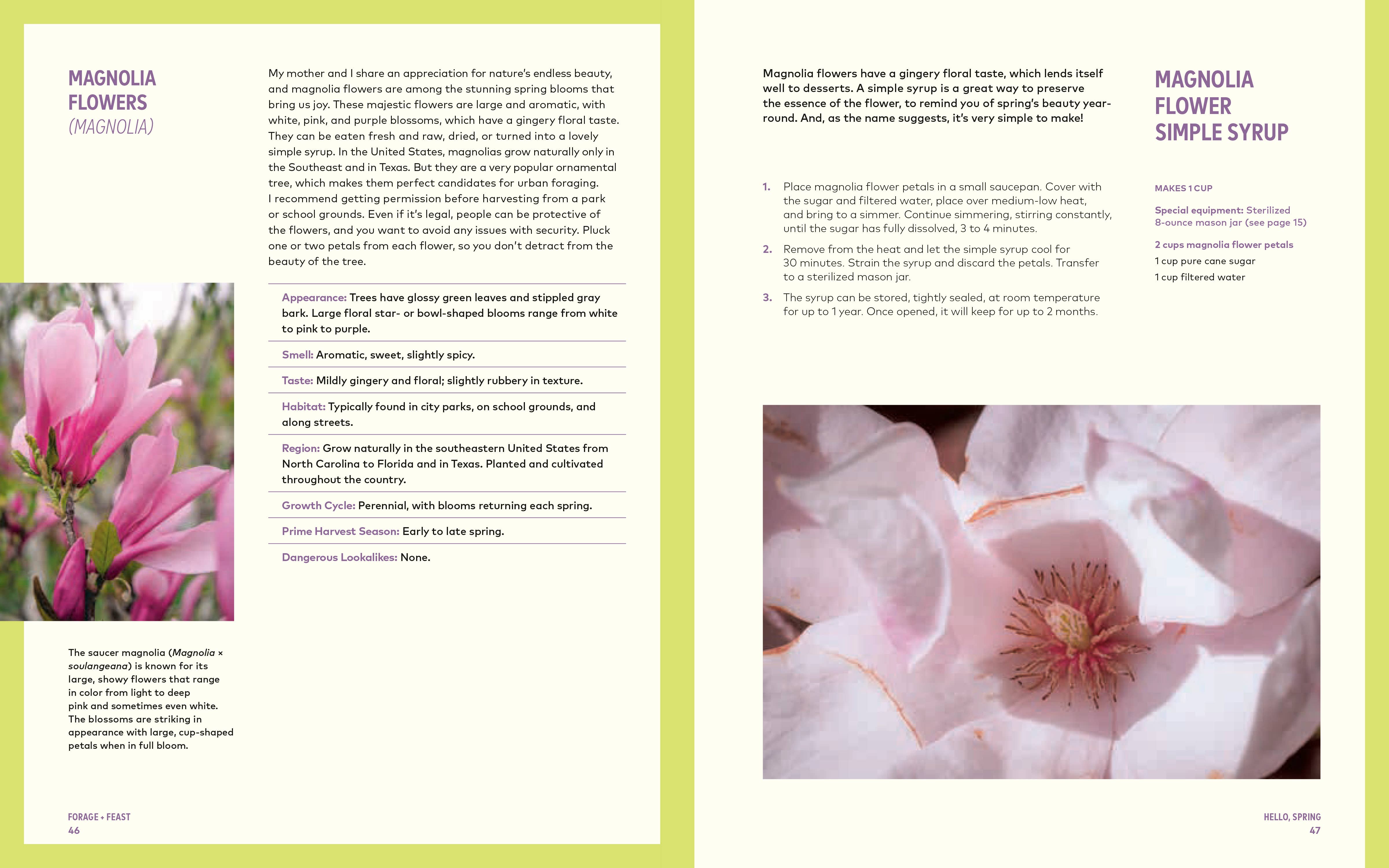 Penguin Random House LLC - Wholesale Cookbooks & Food - Forage & Feast1