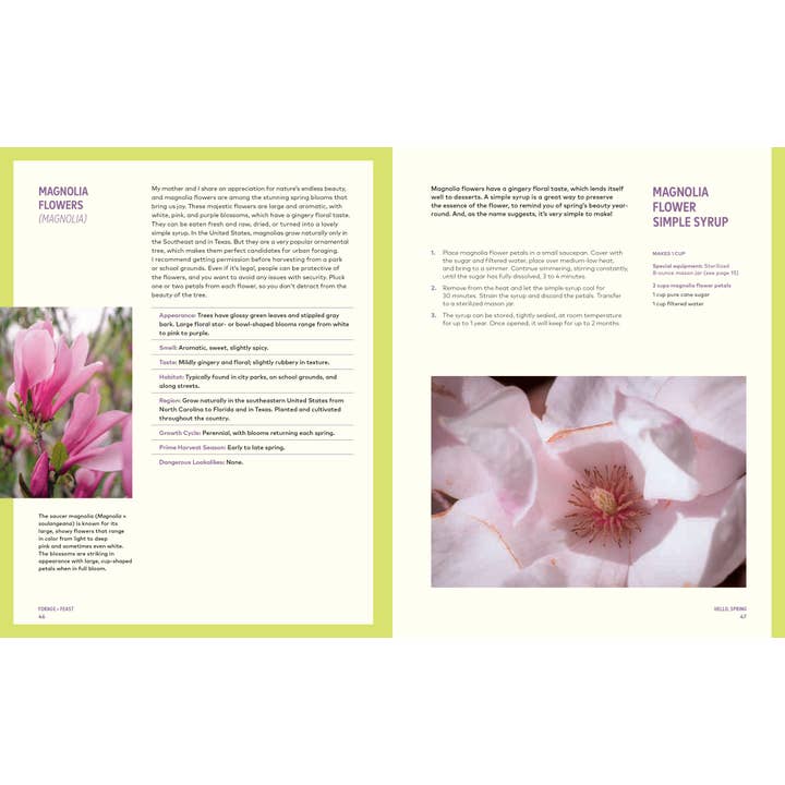 Penguin Random House LLC - Wholesale Cookbooks & Food - Forage & Feast1