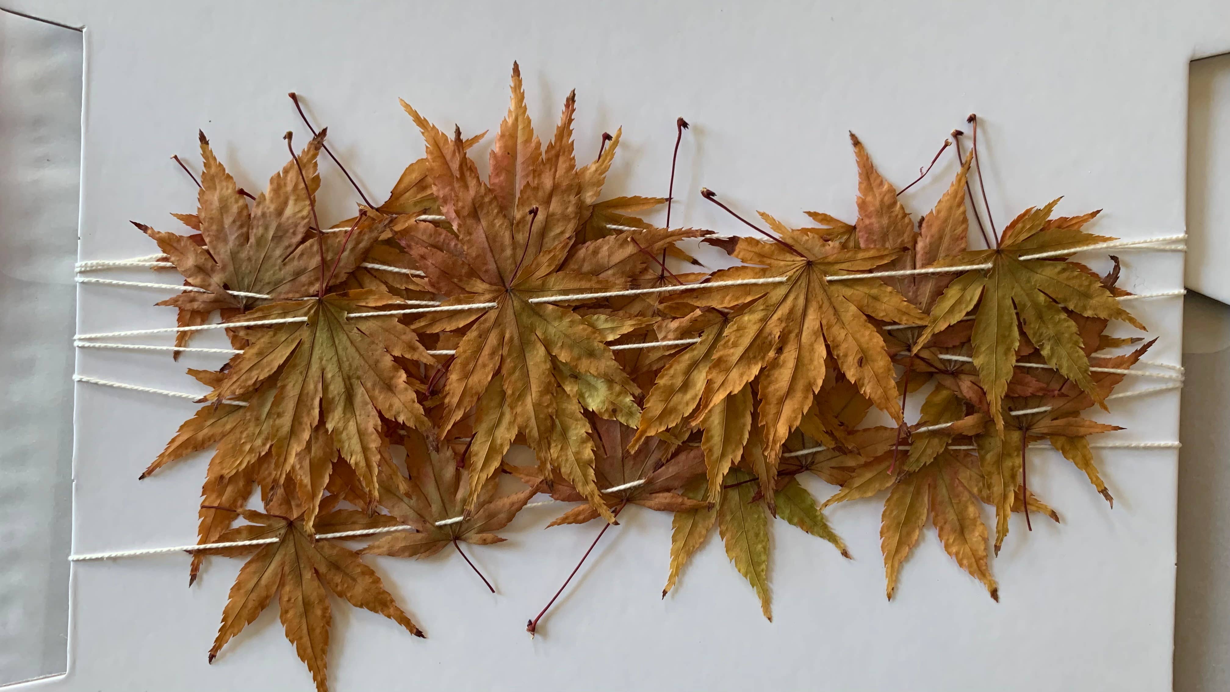 Twig and Snip - Wholesale Bunting/Garland - Dried Mini Japanese Maple Leaf Garland - Reds and Browns1