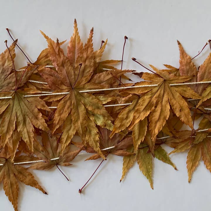 Twig and Snip - Wholesale Bunting/Garland - Dried Mini Japanese Maple Leaf Garland - Reds and Browns1