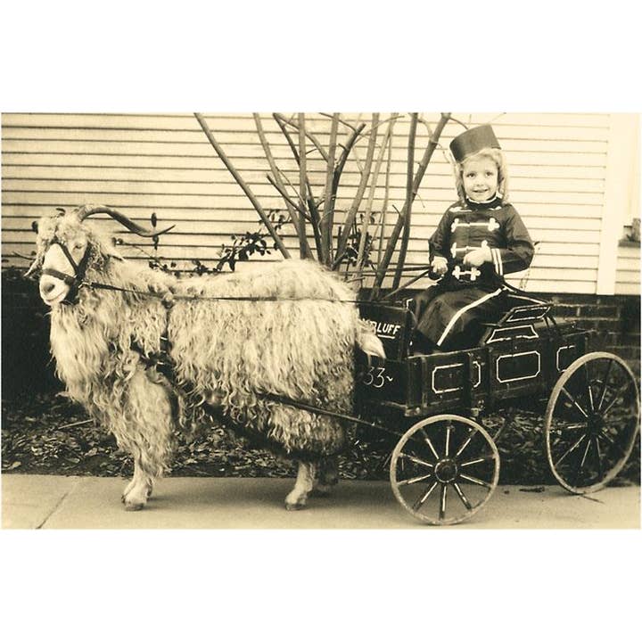 Found Image Press - Venta al por mayor Tarjeta postal - Postal AA-26 Niña con Tirabuzones en Carro de Cabra