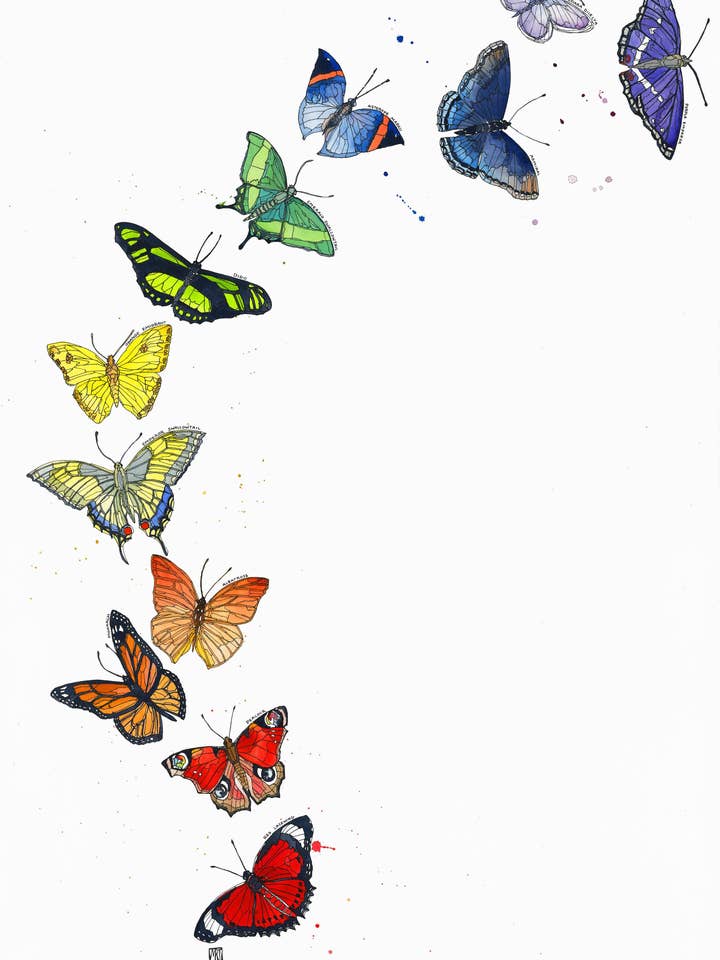Print - Metamorphosis for wholesale by Mattie Rose Art