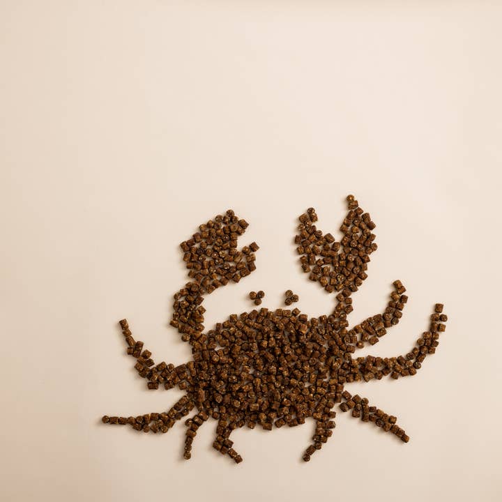 Polkadog - Wholesale Pet Treats - Dog - Bulk: Green Monstah (Training Bits) - 5LB - Dog Treats