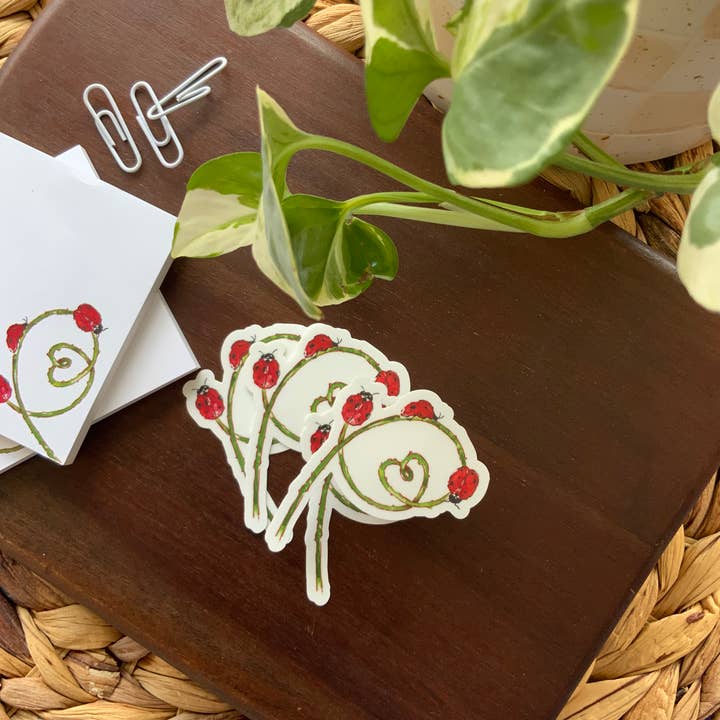 Pegatinas de mariquitas | Pegatinas de naturaleza | Pegatinas impermeables y otras tendencias de Resultados para tipos comida al por mayor. Devoluciones gratuitas y condiciones de pago a 60 días en Faire en Faire.