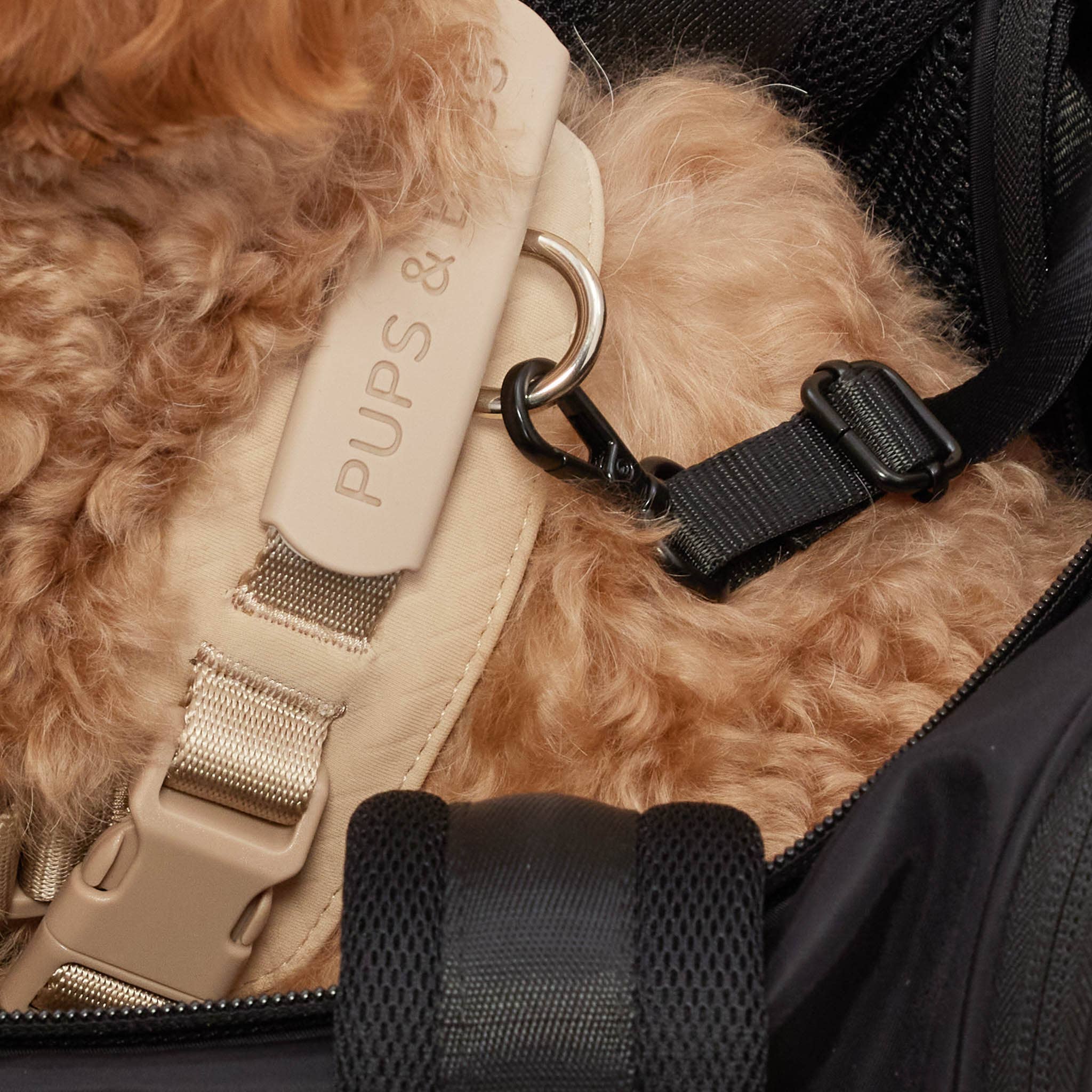 Pups & Bubs - Venta al por mayor Transportín - Gatos y perros - Transportín para mascotas Onboard (apto para cabina de avión)6