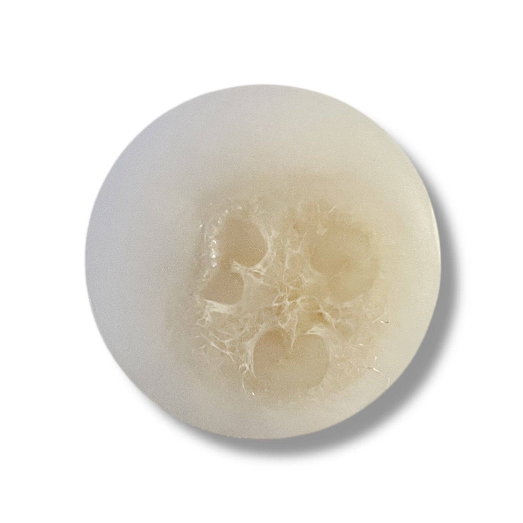 Modern Skyn Alchemy LLC. - Vendita all'ingrosso Saponette - Saponi Artigianali con Luffa - Cocco1