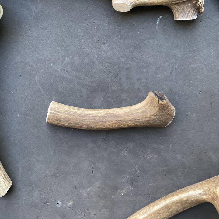 Sawtooth Antler Chews - Wholesale Pet Chew Toy - Dog - Dog Antler Chews18