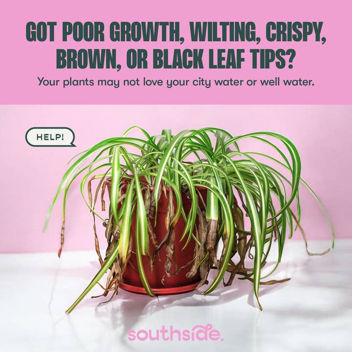 Southside. - Vente Engrais - Climatiseur d'eau du robinet Houseplant2