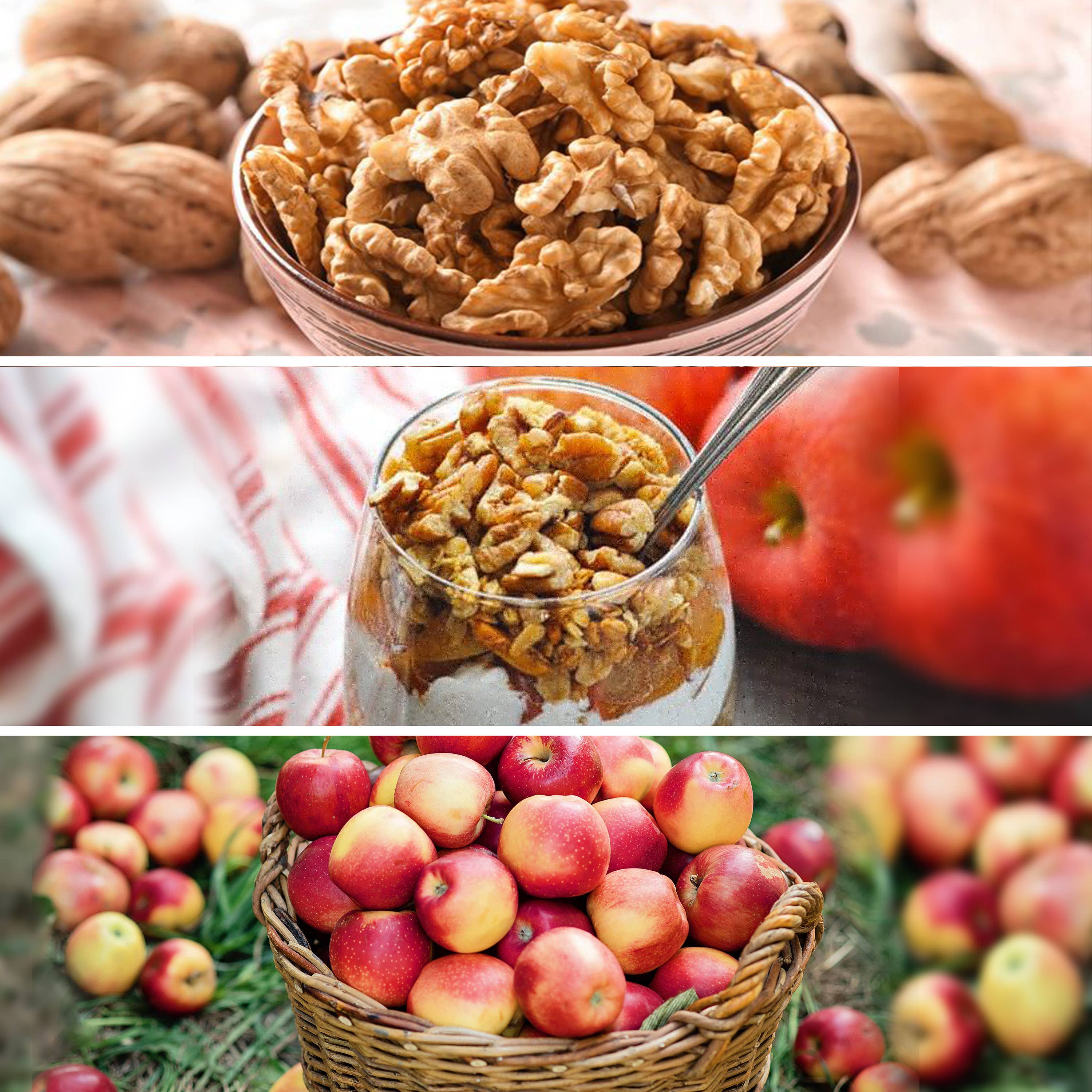 Olde Man Granola - Wholesale Granola - Granola - 25 LB BULK CASE4