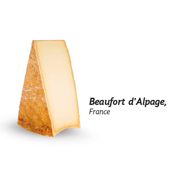 Lady Joseph – Großhandel Cracker – Dattel-Walnuss-Brot in Portionspackungen6