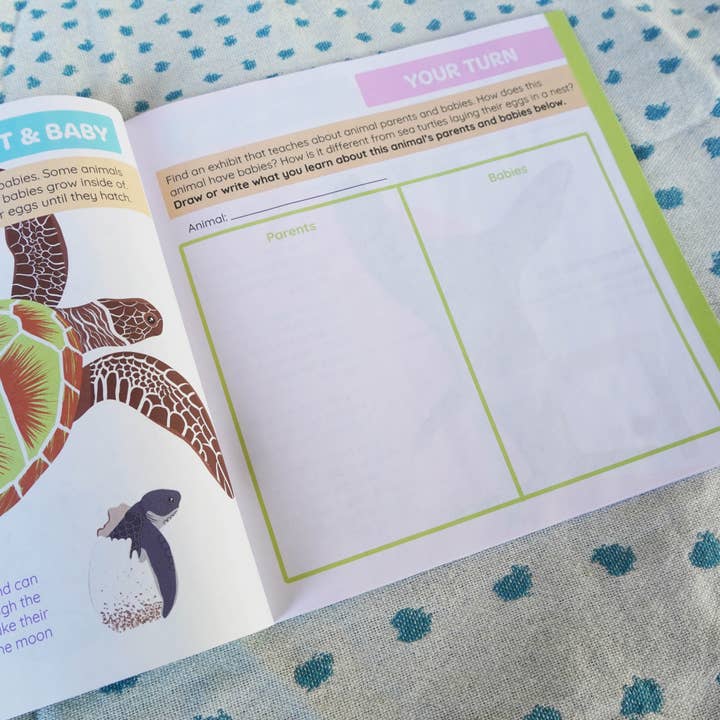 Environerd - Wholesale Nature & Outdoors - Aquarium Nature Journal9