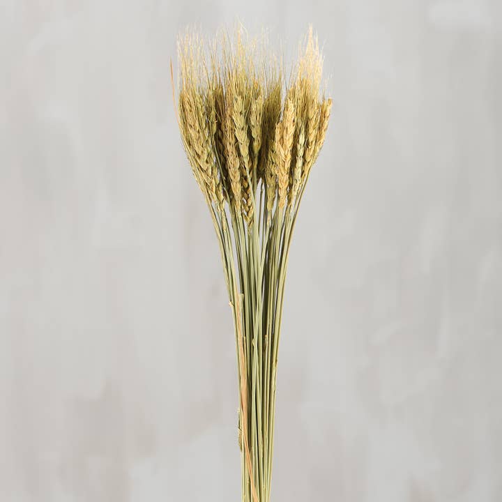 Wheat Grass Bouquet for wholesale by Primitives by Kathy