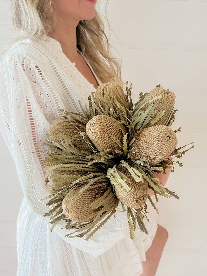 Natural Green Banksia for wholesale by Fairmile Co.