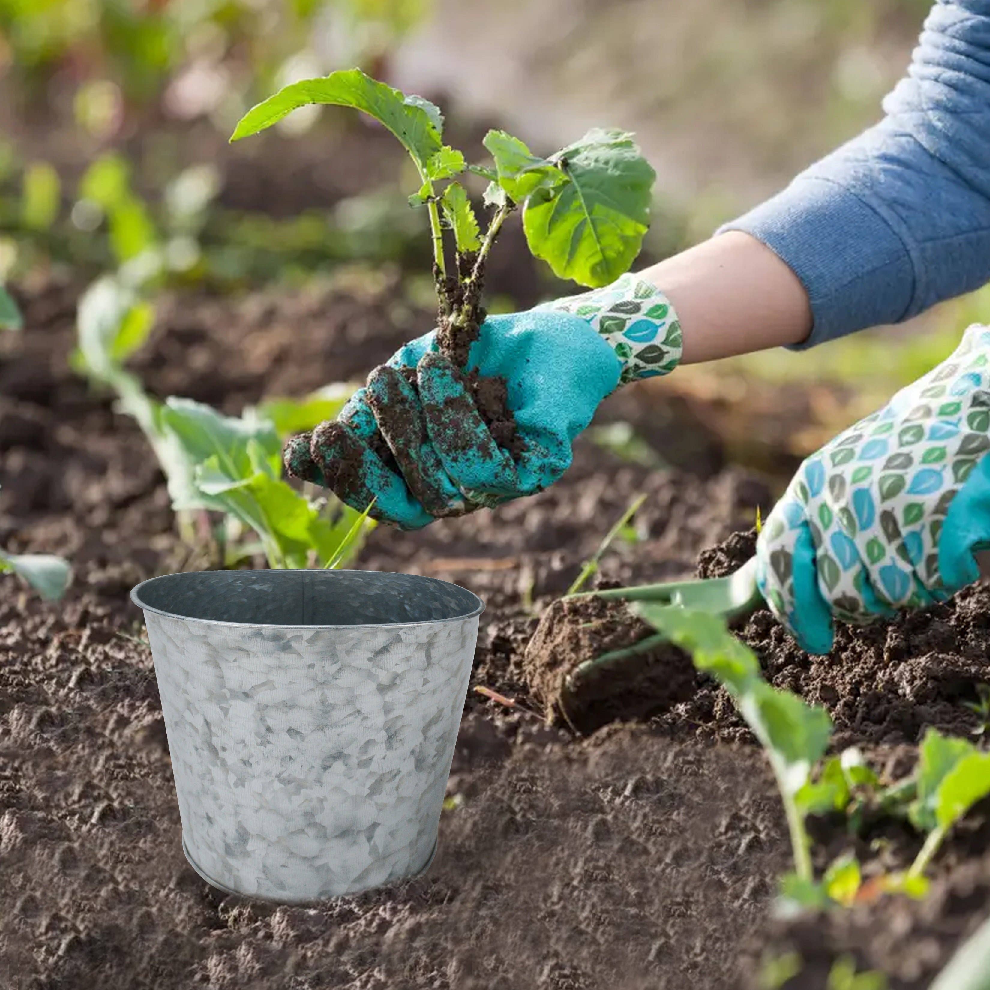 DAHO – Großhandel Blumentopf – 5,12 Zoll (13 cm) Metallblumentopf / Vase für Zuhause, Garten, Hochzeit, Außenbereich7