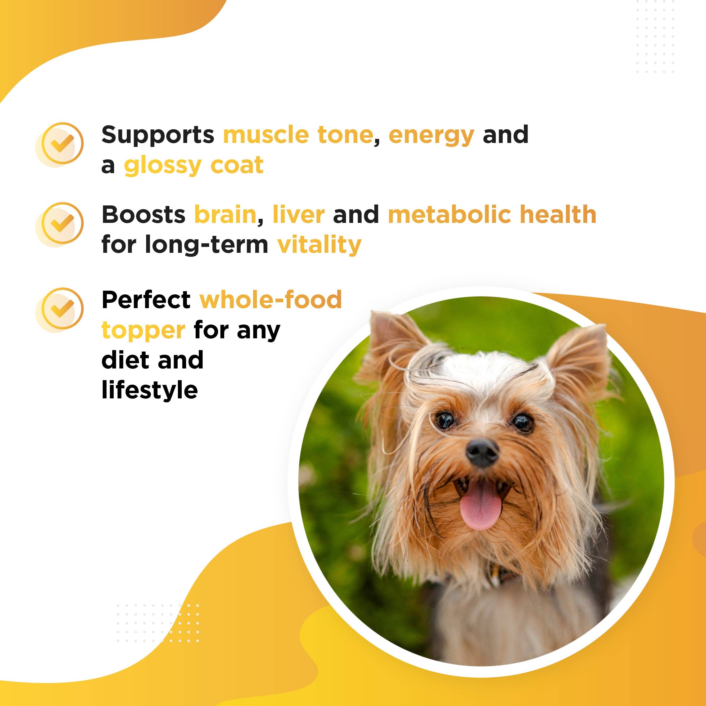 Dog's Lounge – wholesale Pet supplement – Dog – YOLKIE – Free-Range Egg Yolk Topper for Dogs1