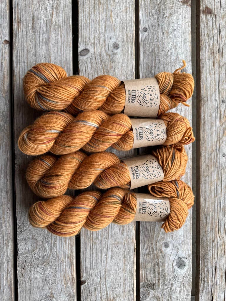 Koigu Wool Designs - Wholesale Yarn - Cheers DK/Worsted57