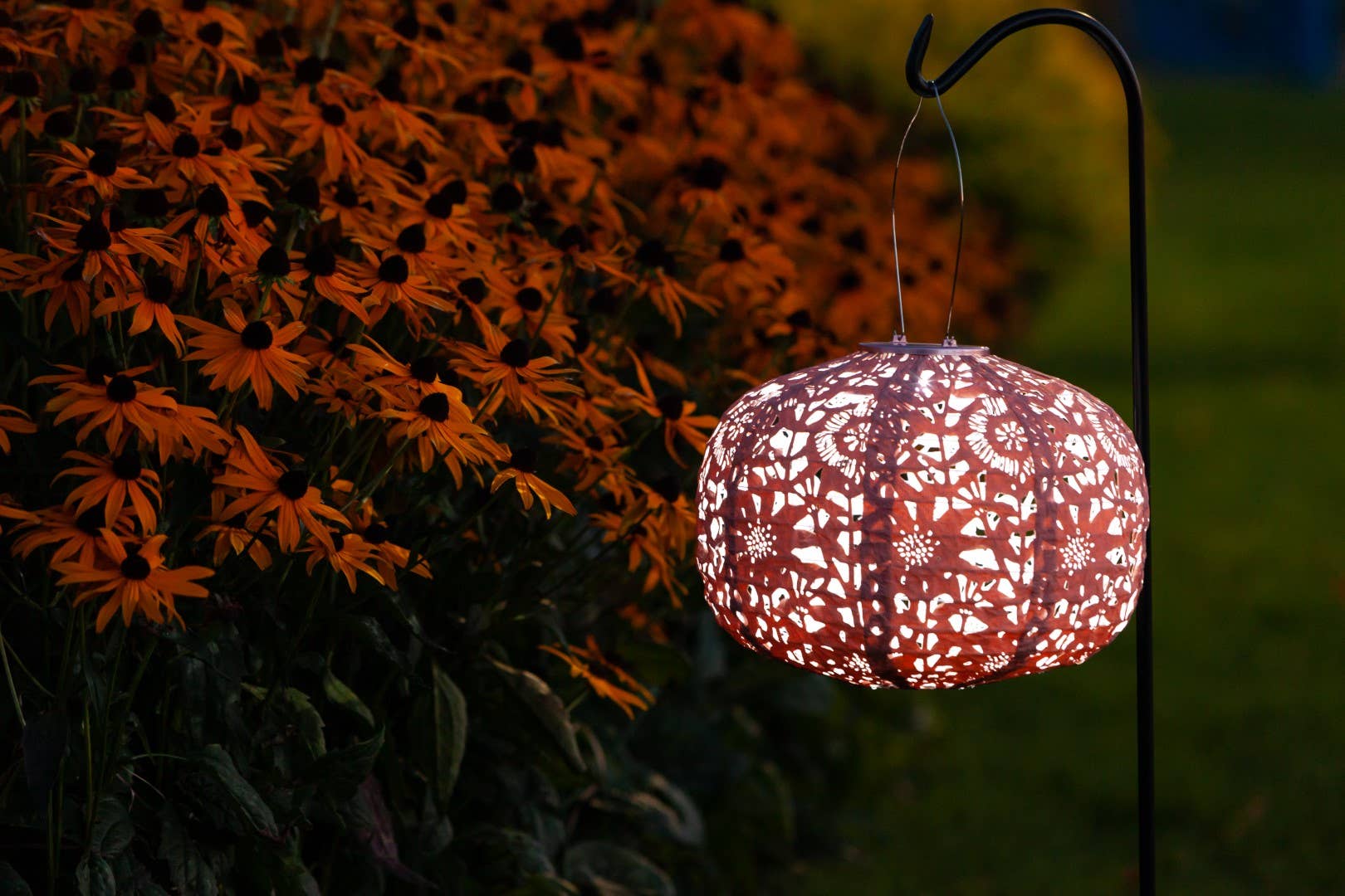 Allsop Home & Garden - Wholesale Outdoor/Lawn Light - Stella Square Sunflower 11" Solar Lantern - Clay4