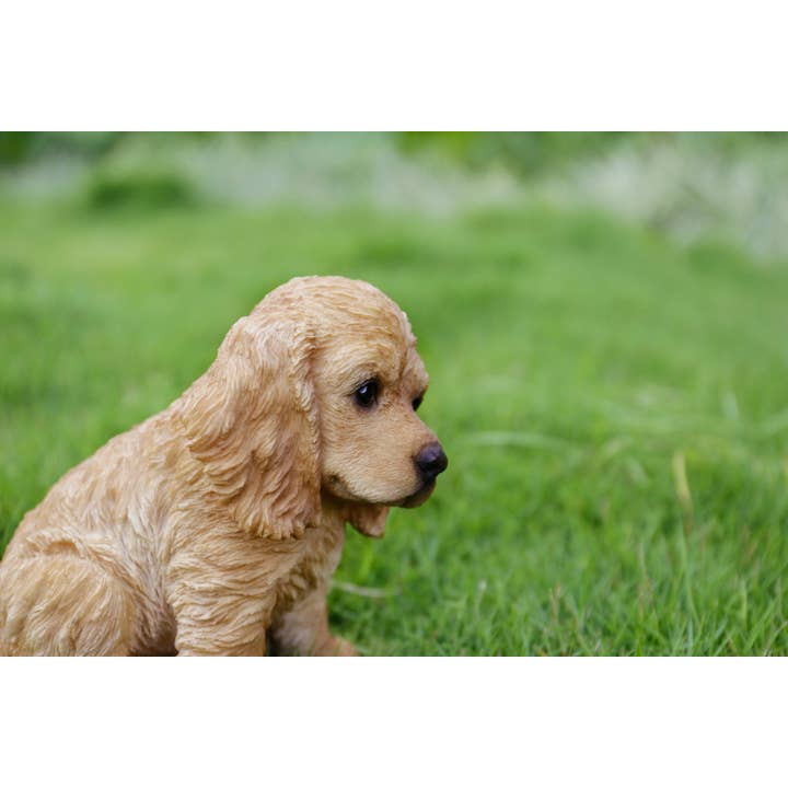 Hi-Line Gift Ltd. - Wholesale Decorative Figurine - Cream-Coloured Cocker Spaniel Statue