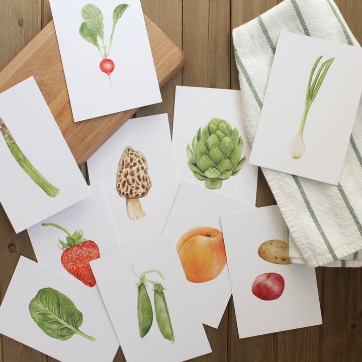 Feed & Dwell – Großhandel Lernkarten – Kind & Baby – 40 Lernkarten mit saisonalen Produkten | Garten-Lernkarten
