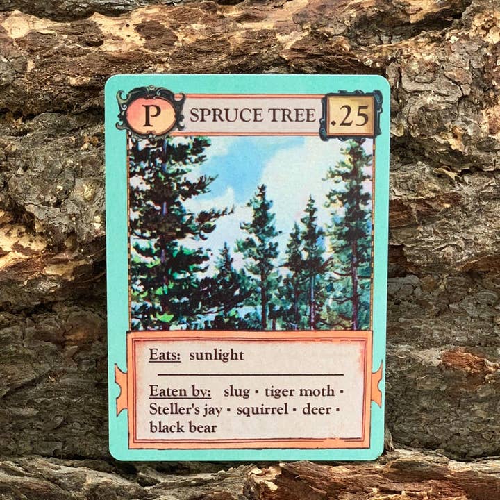 Montrose Biology - Wholesale Card Game - Ecologies Card Game13