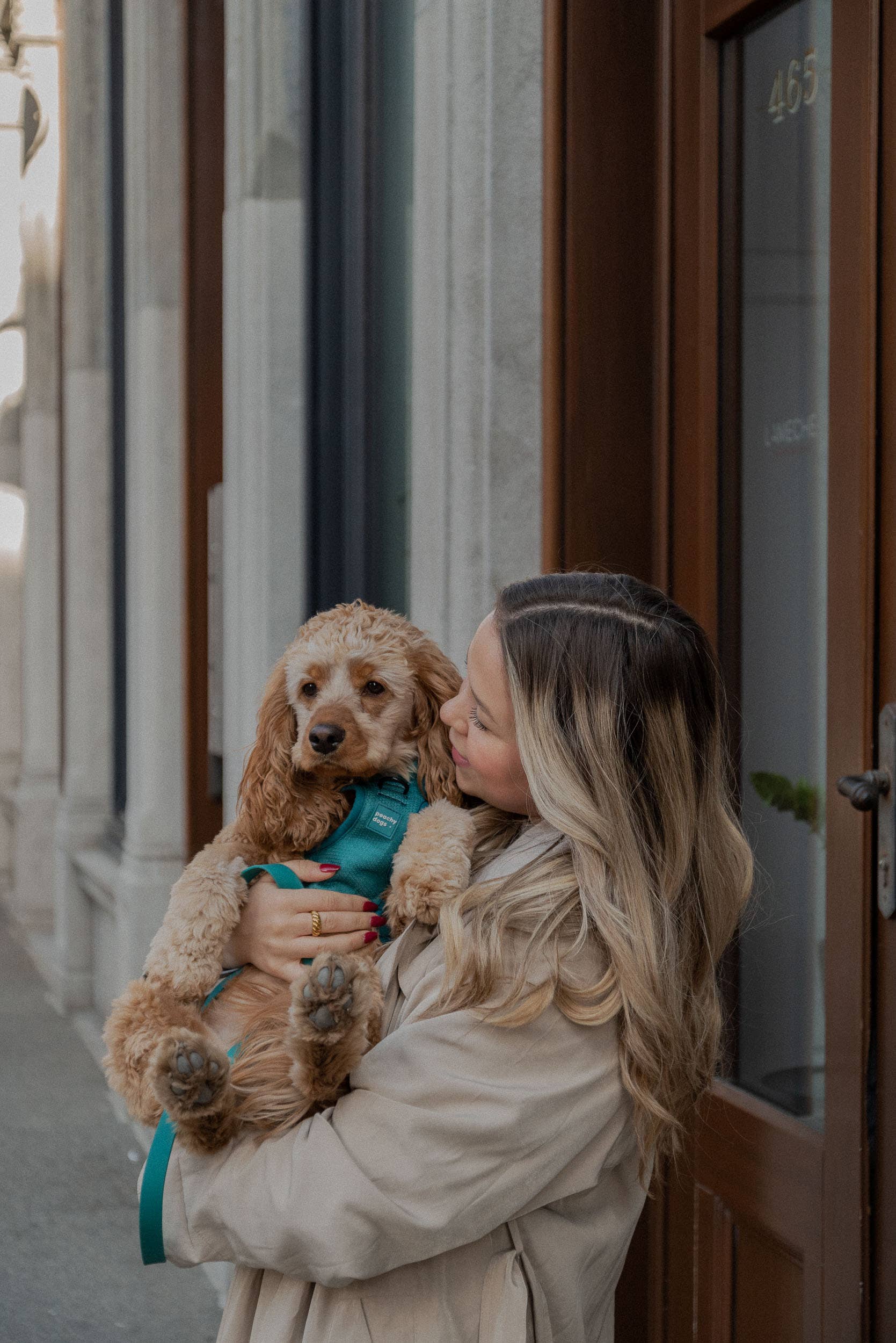 Peachy Dogs - Wholesale Pet Harness - Dog - Mojito Classic 2.0 Harness0