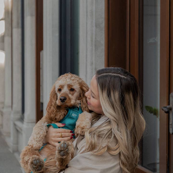 Peachy Dogs - Wholesale Pet Harness - Dog - Mojito Classic 2.0 Harness