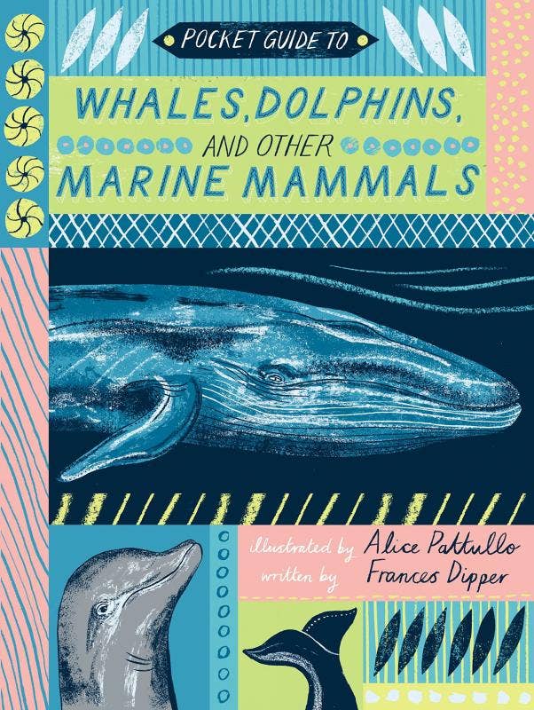 Microcosm Publishing & Distribution - Wholesale Nature & Outdoors - Pocket Guide to Whales, Dolphins, and other Marine Mammals0