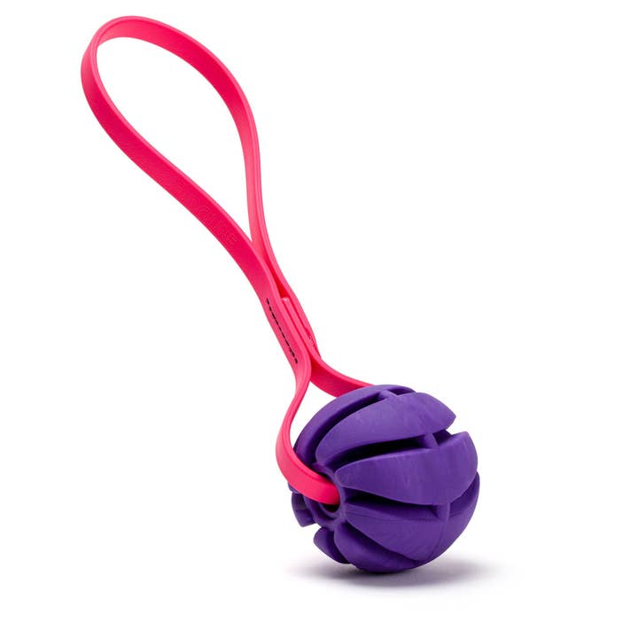 Dogline - Wholesale Pet Fetch Ball - Dog - Rubber Spiral Ball with Biothane Handle14