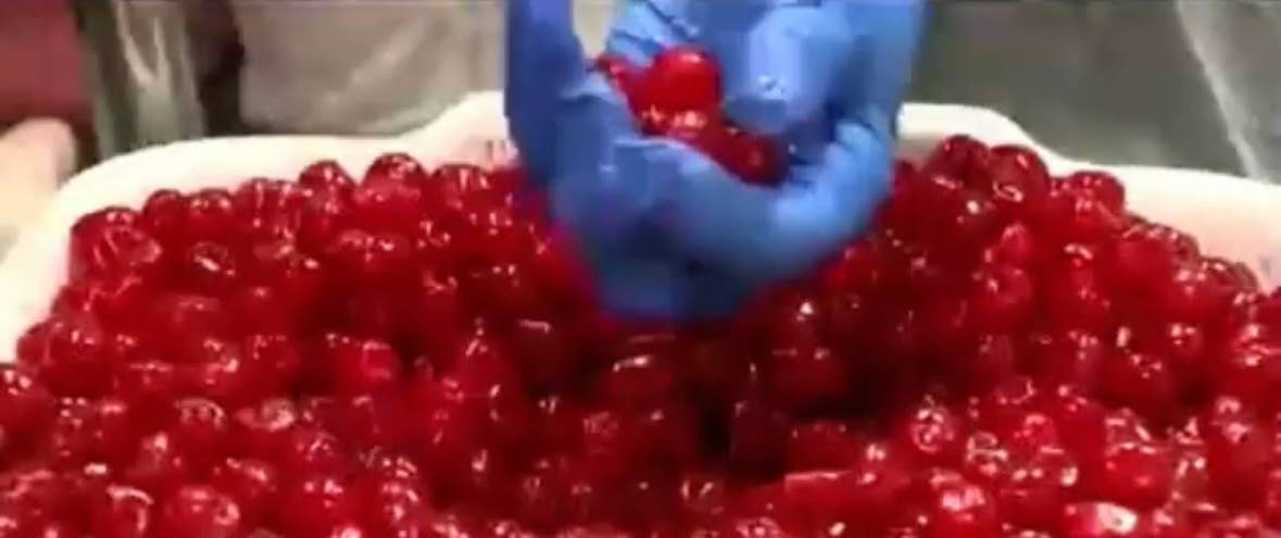 O'Shea's Candies Sweet Shop - Wholesale Chocolate Covered Sweets - 2 PK Milk & Dark Chocolate Foil Wrapped Cordial Cherries Box1