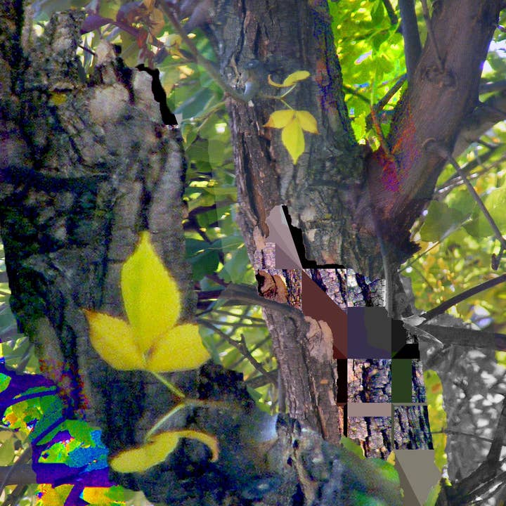 Gold Leaf, No. 4 for wholesale by Art by Deeling