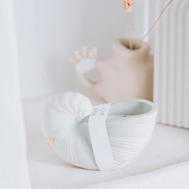 Agua Benta - Wholesale Jar/Filled Candle - Ostra shell candle soy wax6