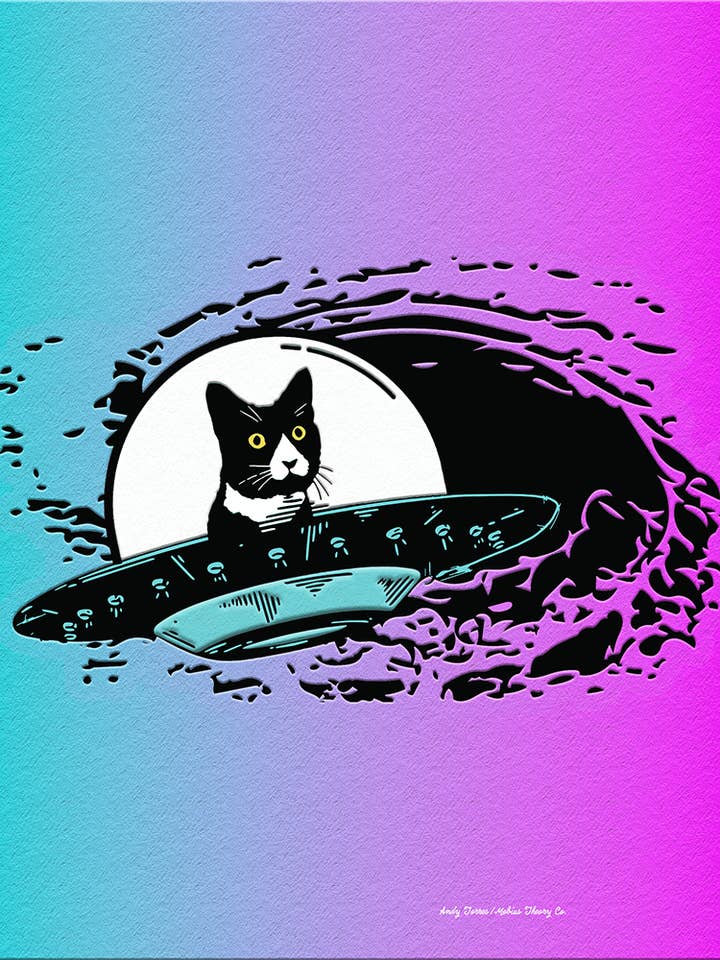 Stampa originale 11" x 14" - UFO Daft Cat per la vendita all'ingrosso da parte di Mobius Theory