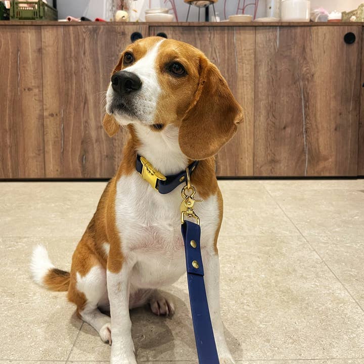 Pop Dog - Wholesale Pet Collar - Dog - The PATAPOUF clip necklace2