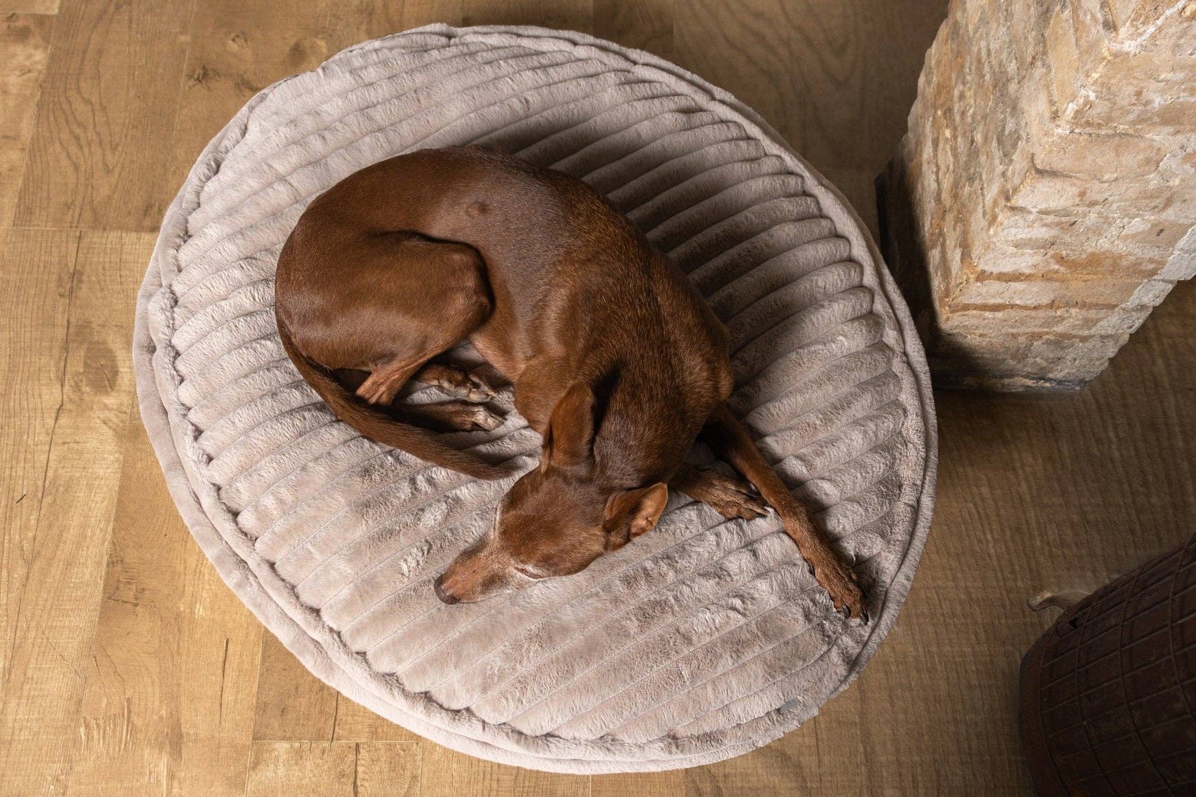 ammi for Dogs - Vente Panier – chien - Coussin pour chien Cama - intérieur en liège et extérieur en tissu douillet10