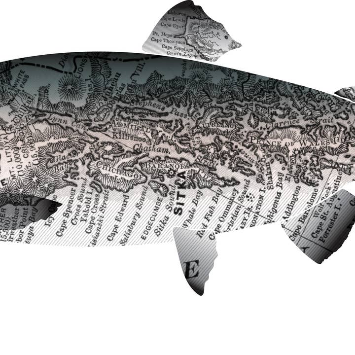 Wooden Pencil Company - Wholesale Art Print - Alaska State Fish Art - King Salmon3