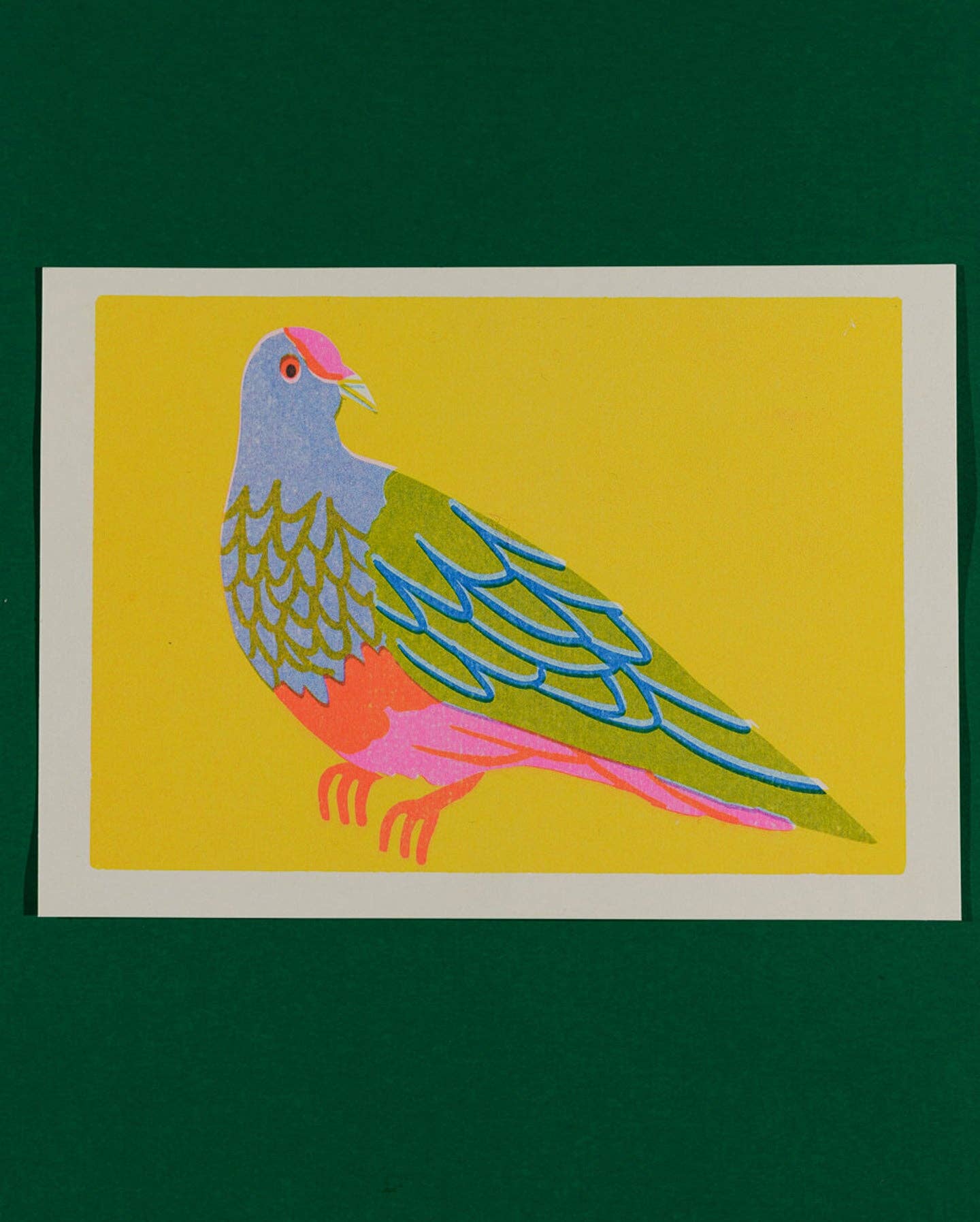 naomi wilkinson illustration – wholesale Art print – Fruit Dove print0
