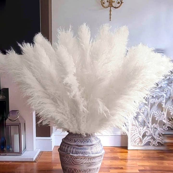 LoveProducts Ltd - Wholesale Dried/pressed flowers - Pampas Grass White Large Fluffy Dried Reed home decor Boho8