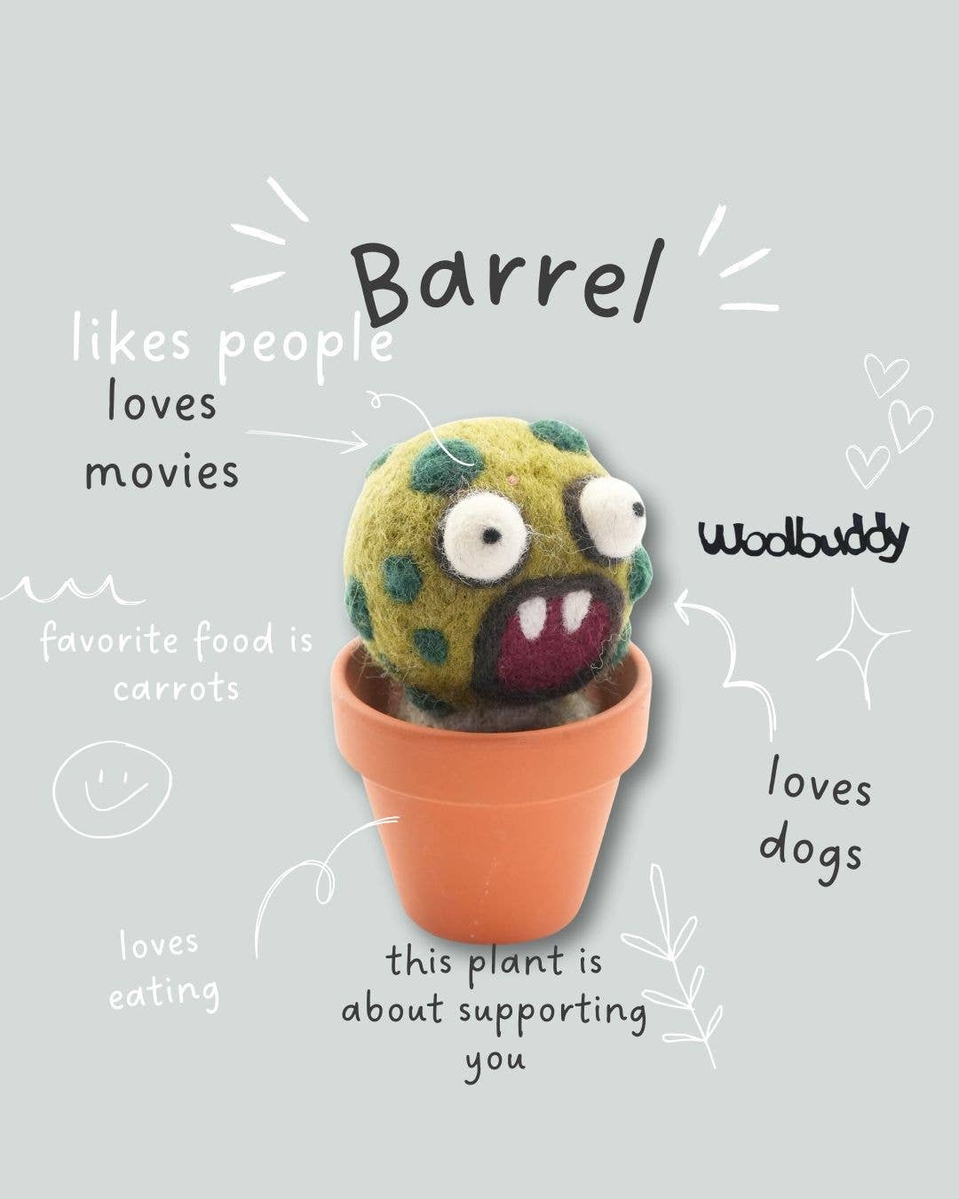 Woolbuddy - Wholesale Plant Pot - Handmade Wool Needle Felted Barrel Cactus Plant