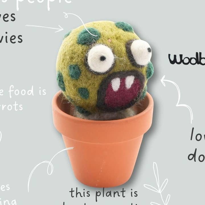 Woolbuddy - Wholesale Plant Pot - Handmade Wool Needle Felted Barrel Cactus Plant0