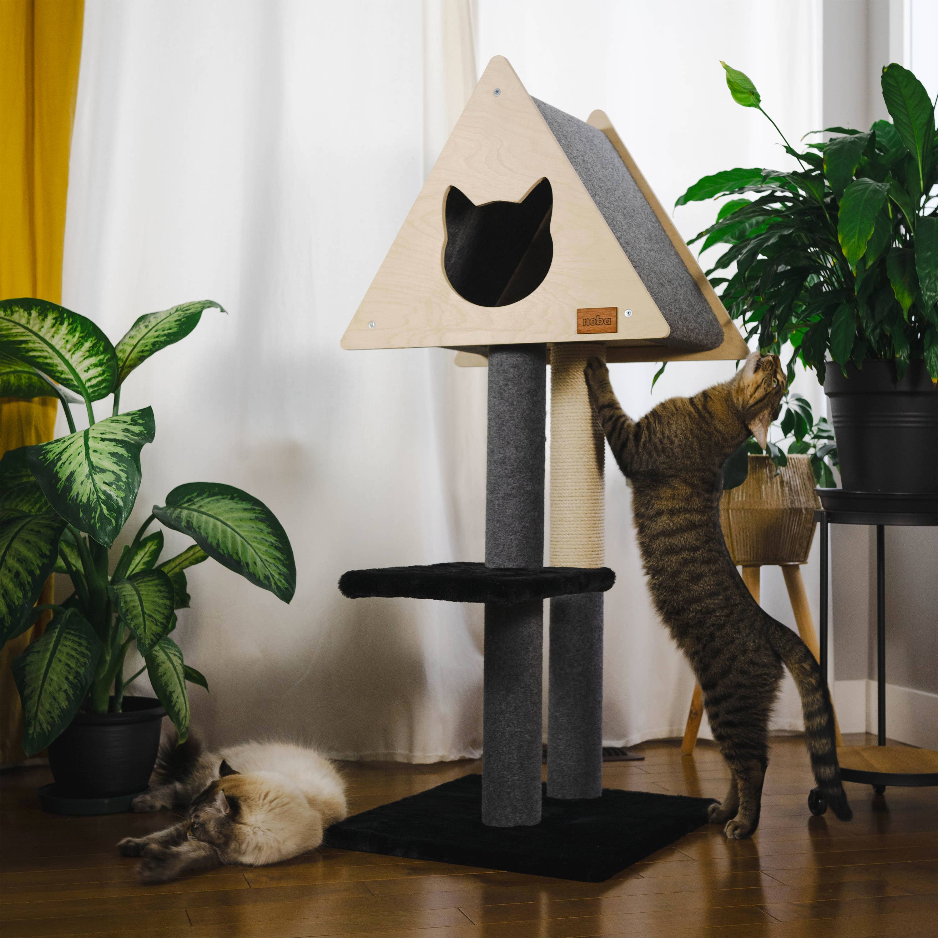 Noba Animal Co. - Vente Griffoir – chat - Cachette Tipi - Arbre à Chat Deluxe à 2 Niveaux8