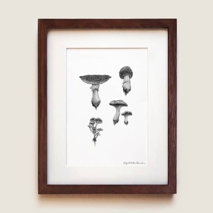 Woodland Mushrooms | Fine Art Print for wholesale by ElizabethAnnFrancis