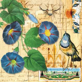 Morning Glories Magnet for wholesale by Potluck Press