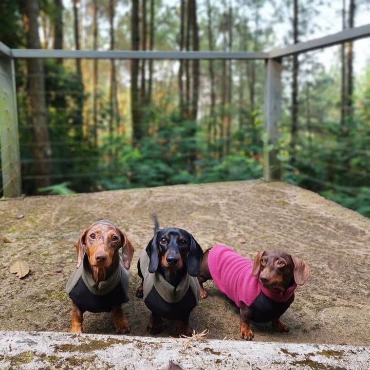 Doghouse - Vendita all'ingrosso Maglione - Cani - Maglione in pile a forma di bassotto con pannello addominale impermeabile