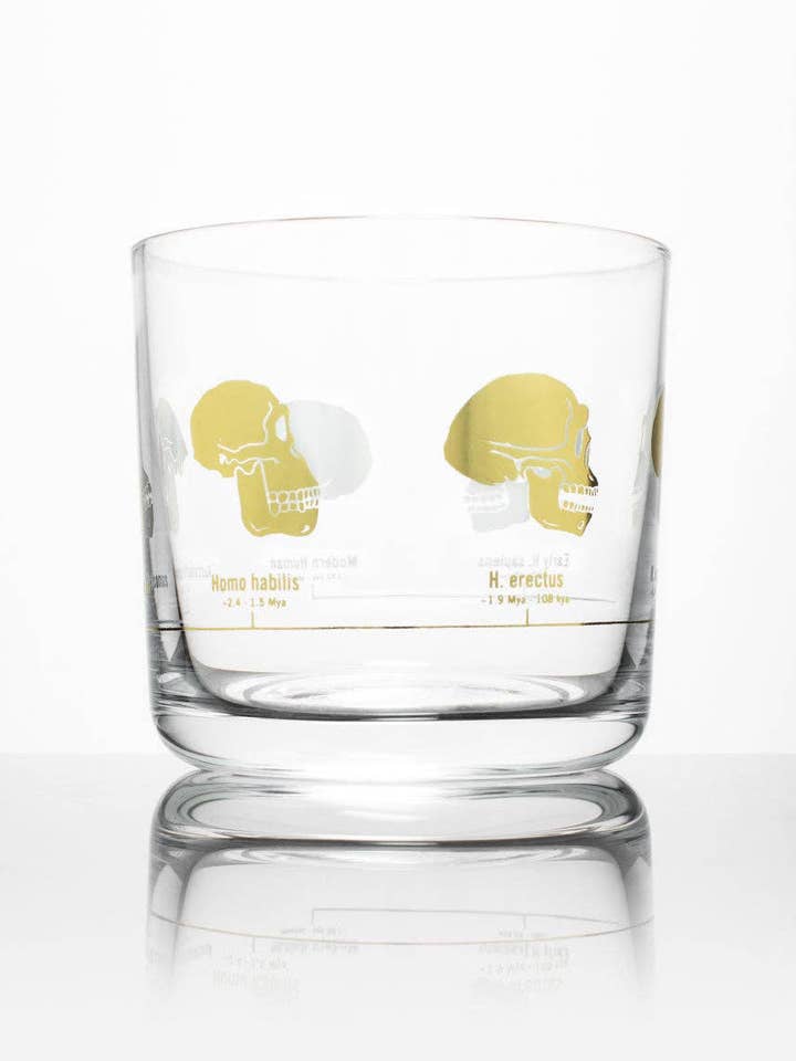 Hominid Schedels Whiskeyglas (Set van 4) voor wholesale door Cognitive Surplus EU
