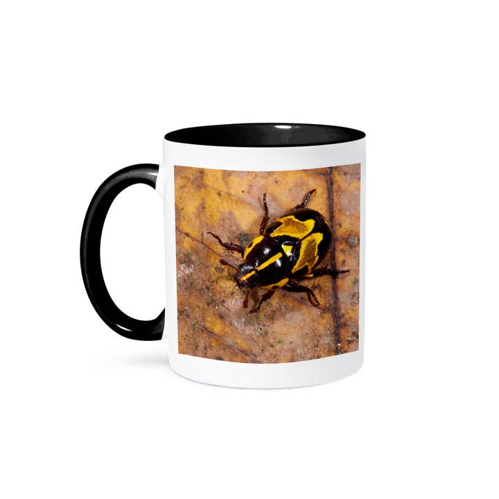 3dRose, Ornate Beetle, Coleoptera, Yasuni, Amazon Rainforest, Ecuador., Mug and other Purchase Wholesale coleiras para caes. Free Returns & Net 60 Terms on Faire trending on Faire.